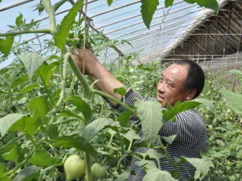 沙井農產品配送公司 以質量與服務雙輪驅動，護航深圳餐飲美食產業鏈
