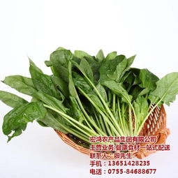 宏鴻農產品集團 一站式食材配送，守護餐桌健康與品質