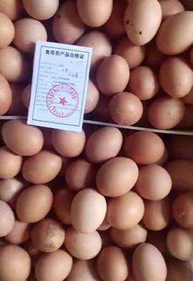 科左中旗發出首張食用農產品合格證，農產品質量安全管理邁入新階段