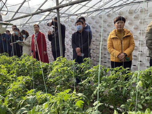 全省農產品質量安全追溯體系與食用農產品合格證制度培訓班在大荔縣正式開班